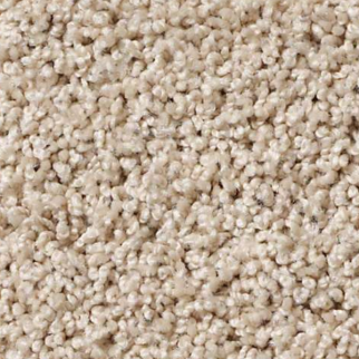 Shaw Floors Lonestar Broadstone SHAW