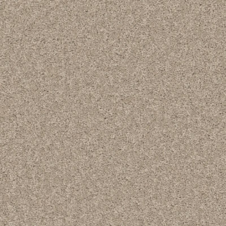 Shaw Floors Velvet Touch II Chic Greige SHAW