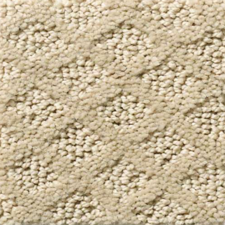 Shaw Floors Pace Setter Frost SHAW