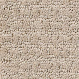 Shaw Floors Activate Frost SHAW