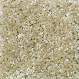 Shaw Floors Play Hard Knapsack SHAW