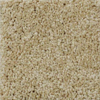 Shaw Floors Timeless Charm Loop Mesa SHAW