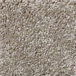 Shaw Floors You Know It Mocha Cream SHAW