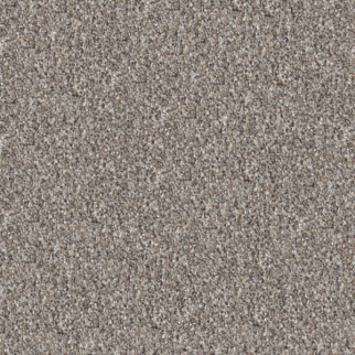 Shaw Floors Elevated III Perfection SHAW