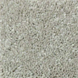 Shaw Floors Well Played II 12 Wild Rice SHAW