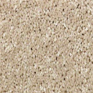 Shaw Floors Well Played I 12 Almond Bark SHAW