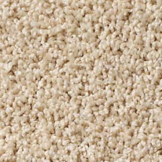 Shaw Floors Lonestar Putty SHAW