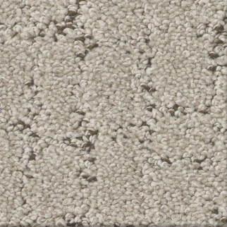 Shaw Floors Block Party River Birch SHAW