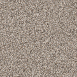 Shaw Floors Elevated I Dawn Beige SHAW