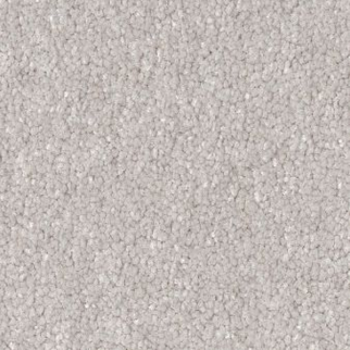 Shaw Floors Hard At Play II 15' Frozen SHAW