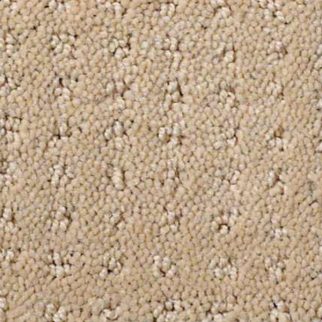 Shaw Floors My Choice Pattern Taffeta SHAW