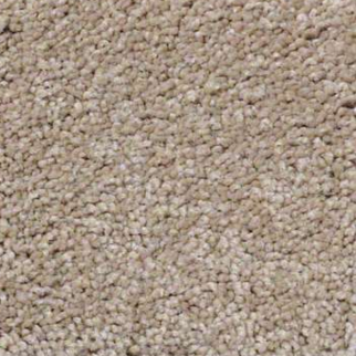 Shaw Floors Sandy Hollow Classic III Adobe SHAW