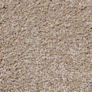 Shaw Floors Sandy Hollow Classic II Adobe SHAW