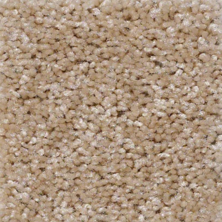 Shaw Floors Instant Winner Fawn SHAW