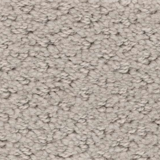 Shaw Floors Mainstay Fossil Path SHAW