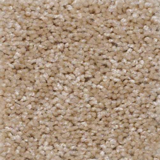 Shaw Floors Jet Set Toasted Coconut SHAW