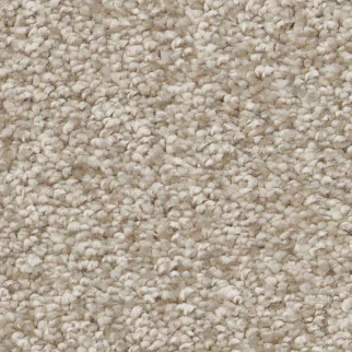 Shaw Floors You Got This III Natural SHAW