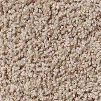 Shaw Floors Lonestar Storm SHAW