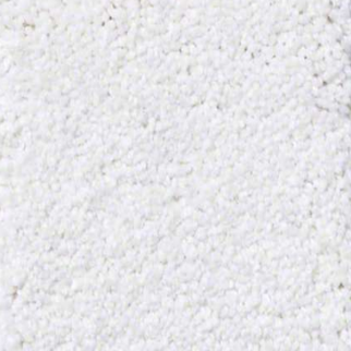 Shaw Floors Sandy Hollow Classic I Sweet Cream SHAW