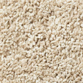 Shaw Floors Shake It Up (S) Sea Floor SHAW