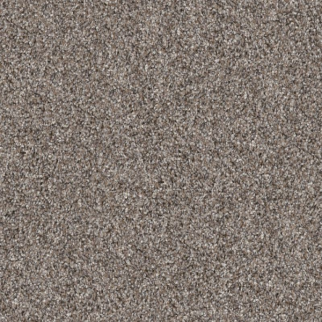 Shaw Floors Yes You Can II 12' Chic Greige SHAW