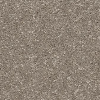 Shaw Floors Hard At Play II 15' Chic Greige SHAW