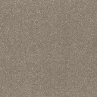 Shaw Floors Hard At Play III 15' Chic Greige SHAW