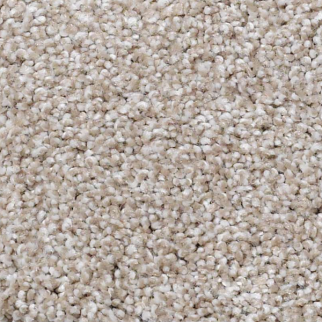 Shaw Floors ANSO Open I (T) Doeskin SHAW