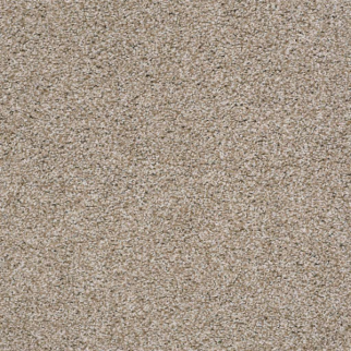 Shaw Floors Poised Quiet Tan SHAW