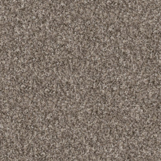 Shaw Floors Yes You Can II 12' Soft Sense SHAW