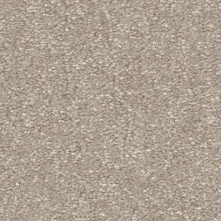 Shaw Floors Hard At Play II 15' Soft Sense SHAW