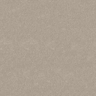 Shaw Floors Hard At Play I 12' Soft Sense SHAW