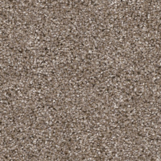 Shaw Floors Yes You Can II 12' Cameo SHAW