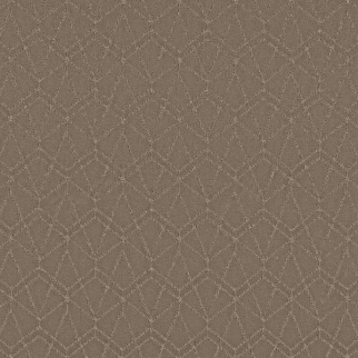 Shaw Floors Point Of View Cameo SHAW