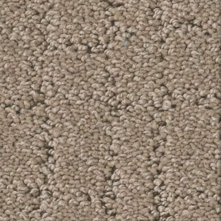 Shaw Floors Block Party Cameo SHAW