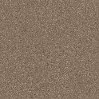 Shaw Floors Hard At Play III 15' Cameo SHAW