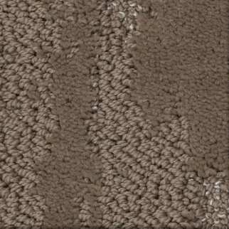 Shaw Floors Tranquil Spirit Cameo SHAW