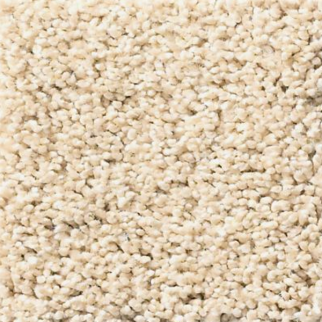 Tuftex Acadia Park Delicate SHAW