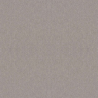 Shaw Floors Embellished Ashen SHAW