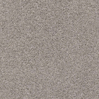 Shaw Floors Poised Great Greige SHAW