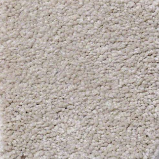 Philadelphia Commercial Everyday Comfort (S) Pebble Beige Shaw