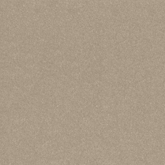 Shaw Floors Hard At Play I 15' Subtle Clay SHAW