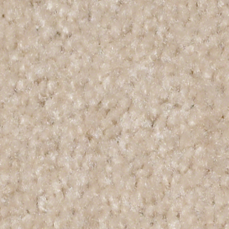 Shaw Floors XV071 Natural Ecru SHAW