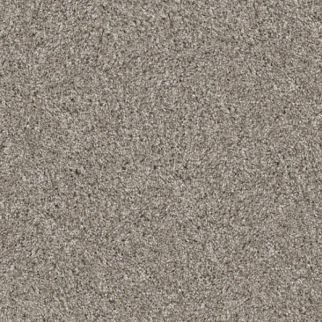 Shaw Floors Yes You Can II 12' Sculpture SHAW