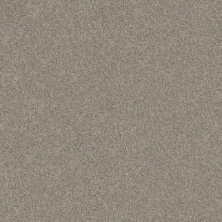 Shaw Floors Yes You Can III 15' Sculpture SHAW