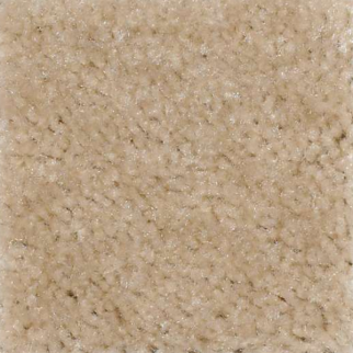 Shaw Floors Zipp Deep Valley SHAW