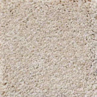 Philadelphia Commercial Everyday Comfort (S) Popcorn Shaw