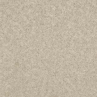 Shaw Floors Dalton 30 12' Sand Dollar SHAW
