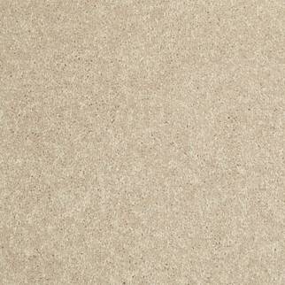 Shaw Floors Dalton 40 12 Sand Dollar SHAW