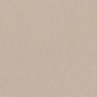 Shaw Floors Hard At Play III 15' Warm Light SHAW